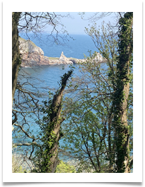 Ansteys Cove